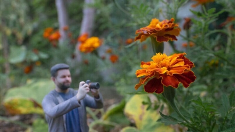 Photographer has turned into a 3D thumbnail to see the world in new ways