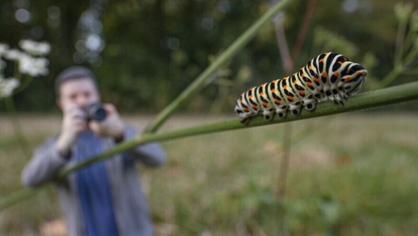 Photographer has turned into a 3D thumbnail to see the world in new ways