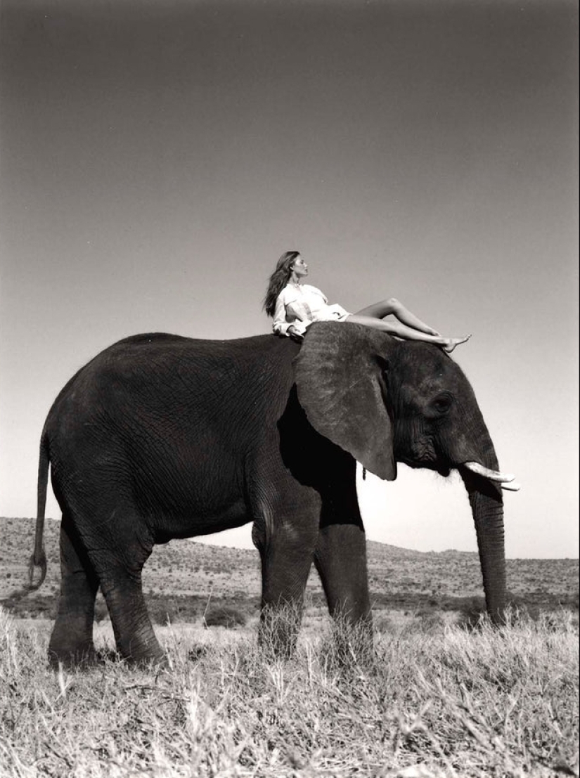 Photographer of the Stars Wayne Mather: Provocation Becomes Art