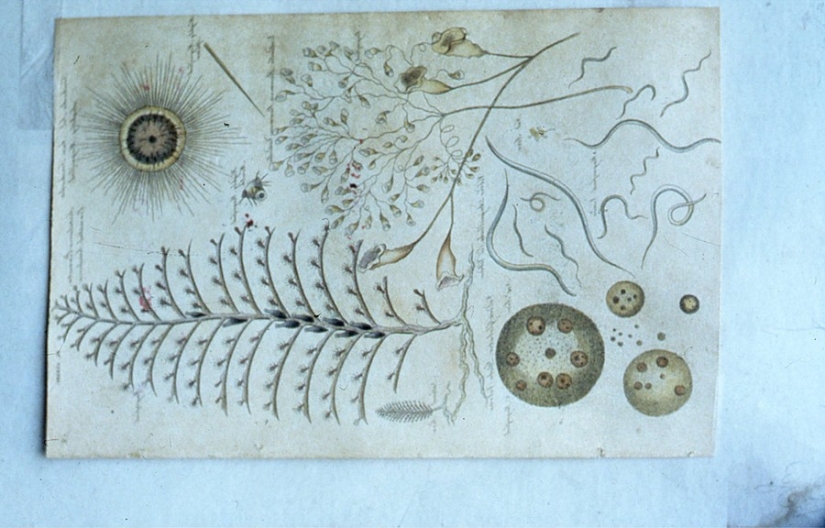 Photos and secret love letters of Frida Kahlo Photos and secret love letters of Frida Kahlo