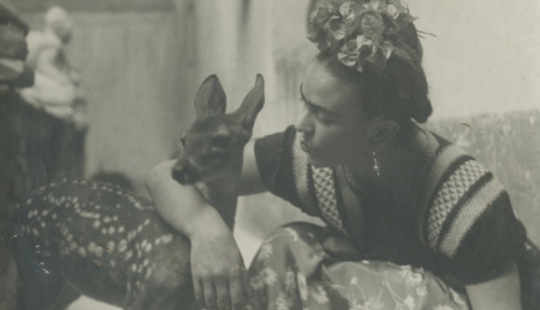 Photos and secret love letters of Frida Kahlo
