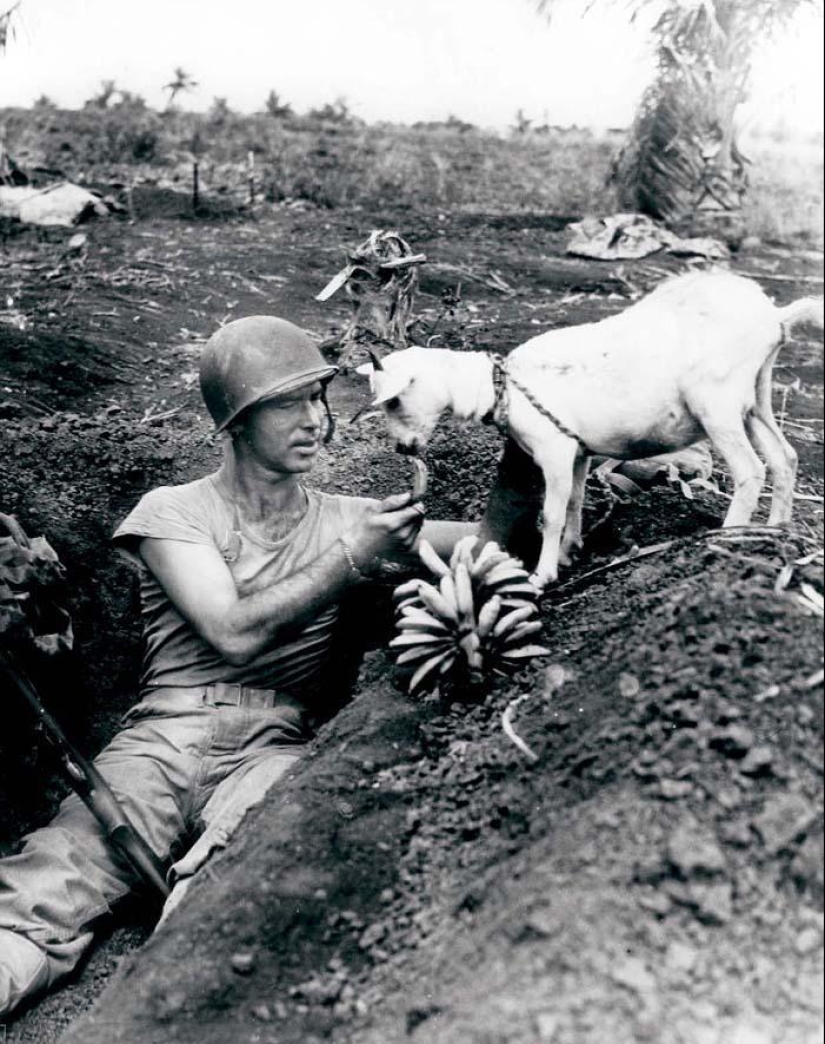 Photos from the past that are worth seeing Photos from the past that are worth seeing