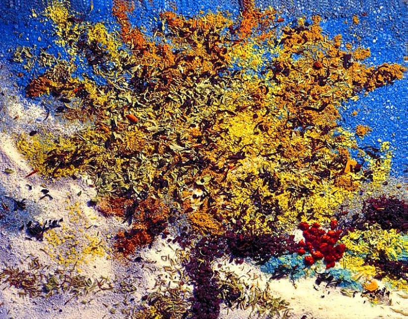 Picture of salt and spices Picture of salt and spices