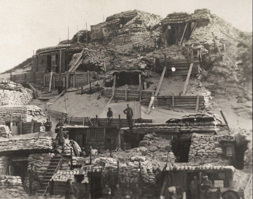 Pigeons and gas masks: the other side of the First World War