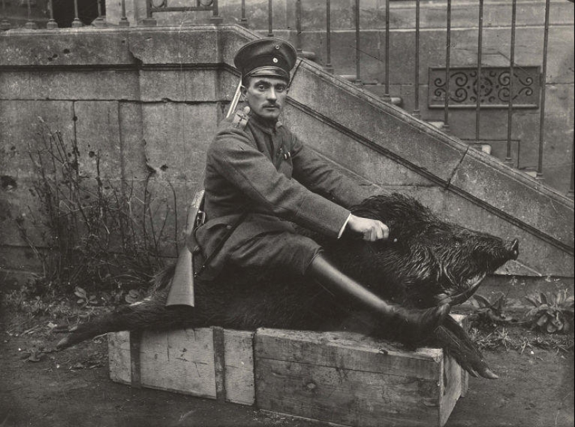 Pigeons and gas masks: the other side of the First World War