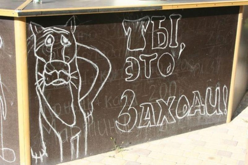 Pilares creativos Pilares creativos