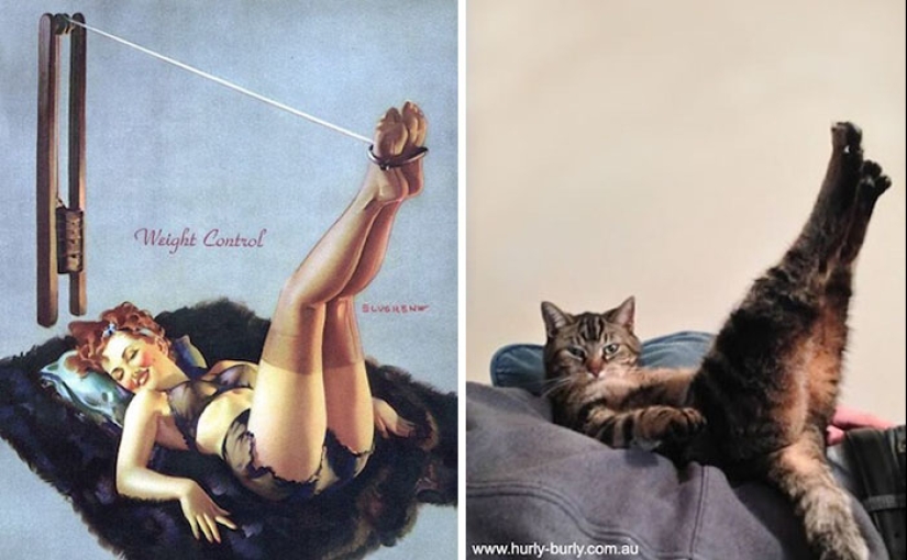 Pin-up-Girls vs cats in the fight for your love