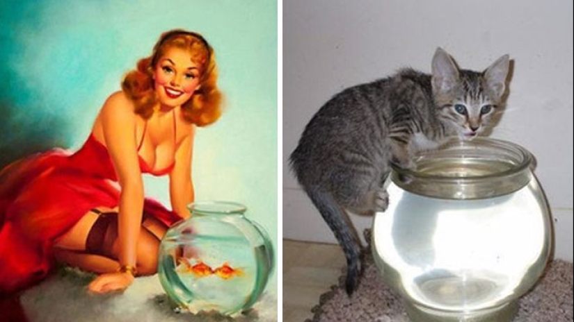 Pin-up-Girls vs cats in the fight for your love