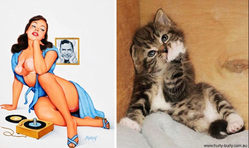 Pin-up-Girls vs cats in the fight for your love