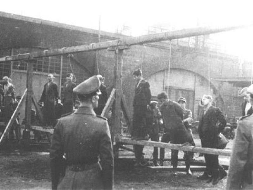 "Pirates of Edelweiss" — how German anti-fascist teenagers fought against Hitler's regime "Pirates of Edelweiss" — how German anti-fascist teenagers fought against Hitler's regime