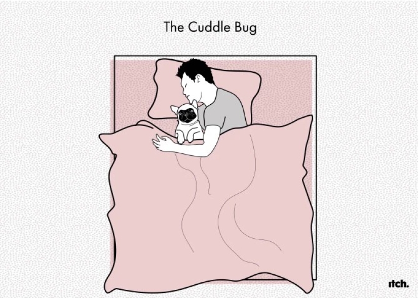 Plantea todo tipo de necesidades, plantea todo tipo de importante: la posición de la cama de mascota dice acerca de su actitud para usted