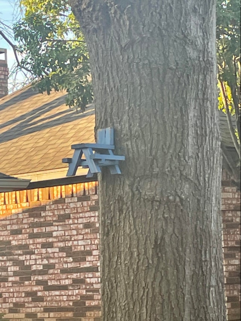 Plush pneumococcus and 22 other curiosities that few people have seen