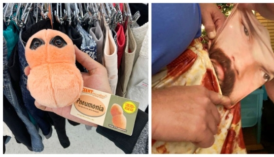 Plush pneumococcus and 22 other curiosities that few people have seen Plush pneumococcus and 22 other curiosities that few people have seen