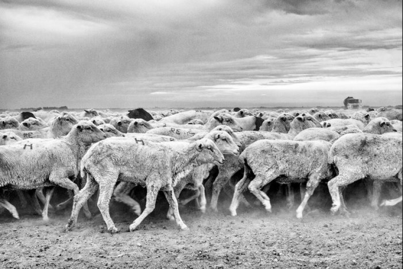 Pobreza y vanidad: el interior americano en imágenes por Matt Black Pobreza y vanidad: el interior americano en imágenes por Matt Black