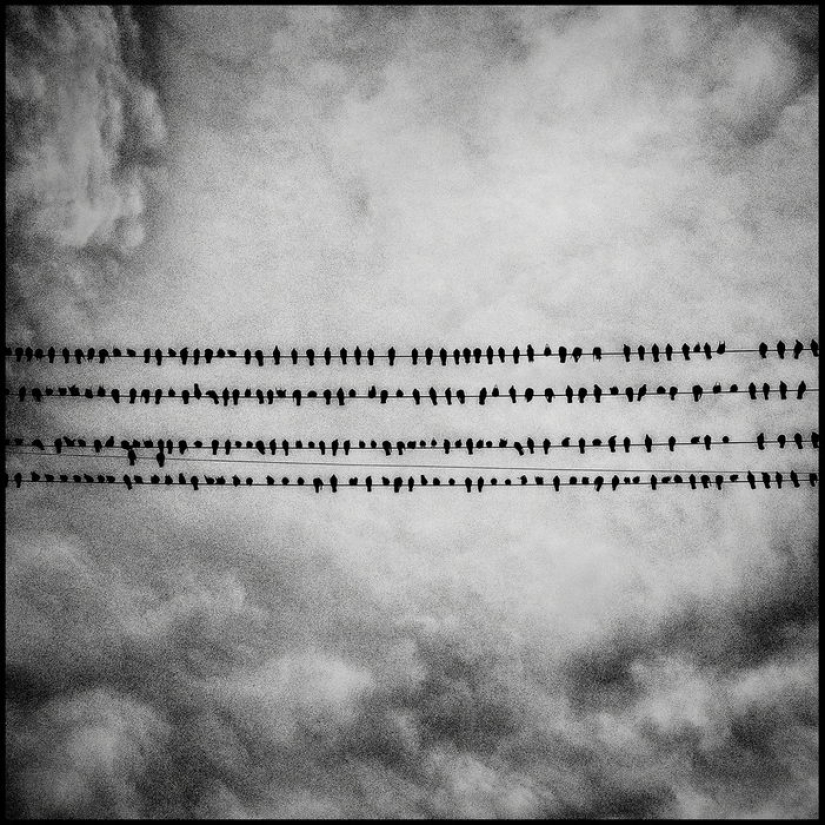 Pobreza y vanidad: el interior americano en imágenes por Matt Black Pobreza y vanidad: el interior americano en imágenes por Matt Black