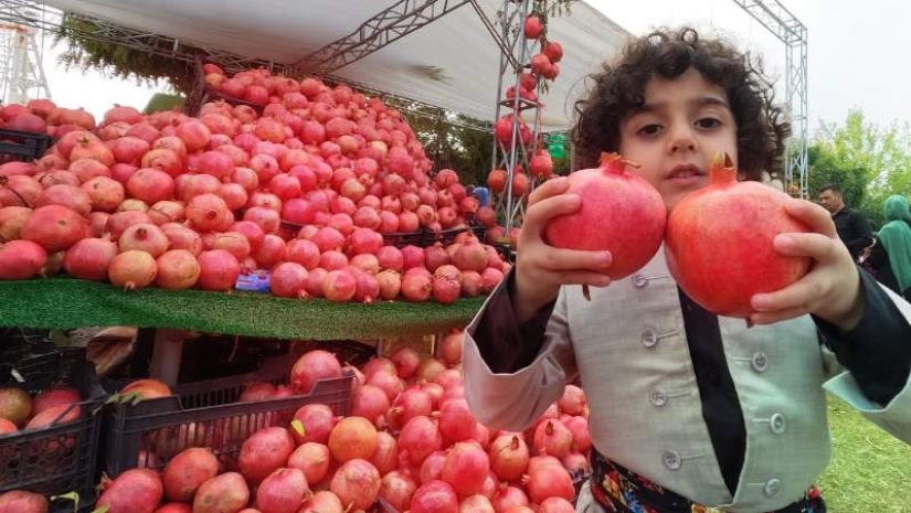 Pomegranate: From Ancient Symbol to 21st-Century Superfood