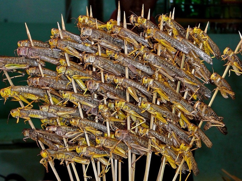 Popular street food in different countries