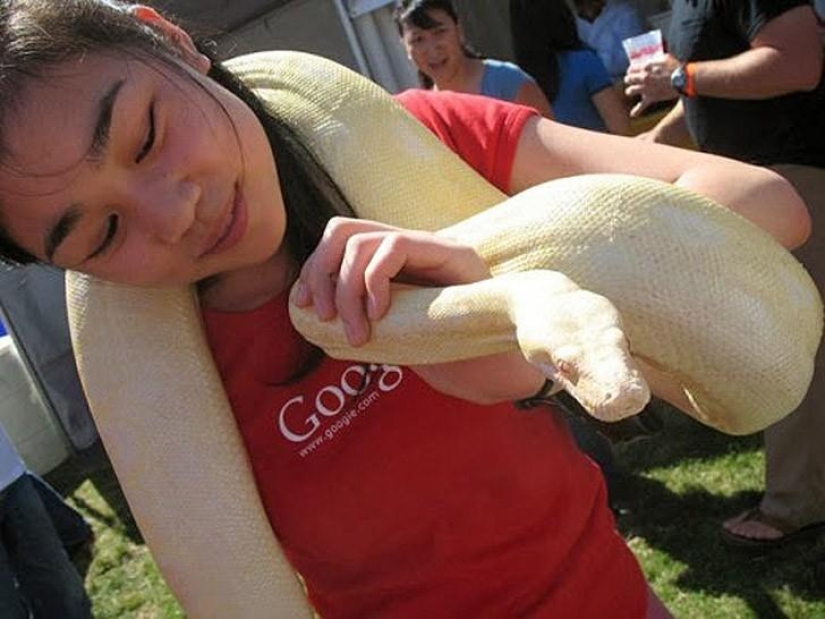 Por el día del programador: 5 representantes más sexys de esta profesión Por el día del programador: 5 representantes más sexys de esta profesión