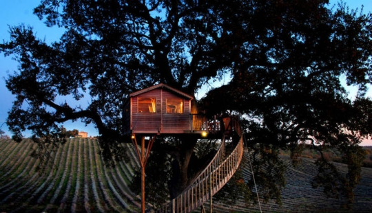 Por esta casa en el árbol renunciarás a todo y te mudarás a la Toscana