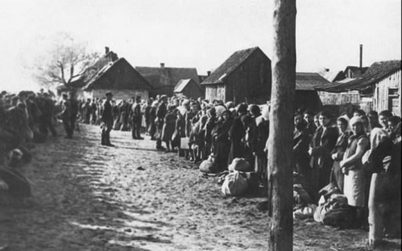 ¿Por qué el Tambov campesinos empalado Bolchevique Sofía gehlberg ¿Por qué el Tambov campesinos empalado Bolchevique Sofía gehlberg