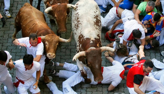 Por qué la gente en España corre de toros: la historia de las vacaciones de San Fermín en Pamplona Por qué la gente en España corre de toros: la historia de las vacaciones de San Fermín en Pamplona