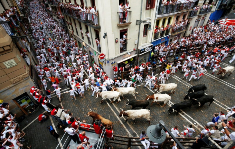 Por qué la gente en España corre de toros: la historia de las vacaciones de San Fermín en Pamplona