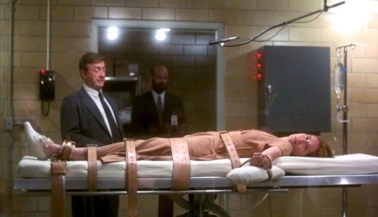 Por qué Lisa Montgomery, la primera mujer en 68 años, fue ejecutada en Estados Unidos Por qué Lisa Montgomery, la primera mujer en 68 años, fue ejecutada en Estados Unidos