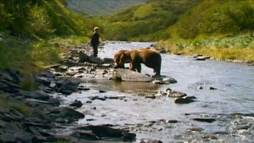 Por qué los osos se comieron a su amigo "Grizzly Man" Timothy Treadwell