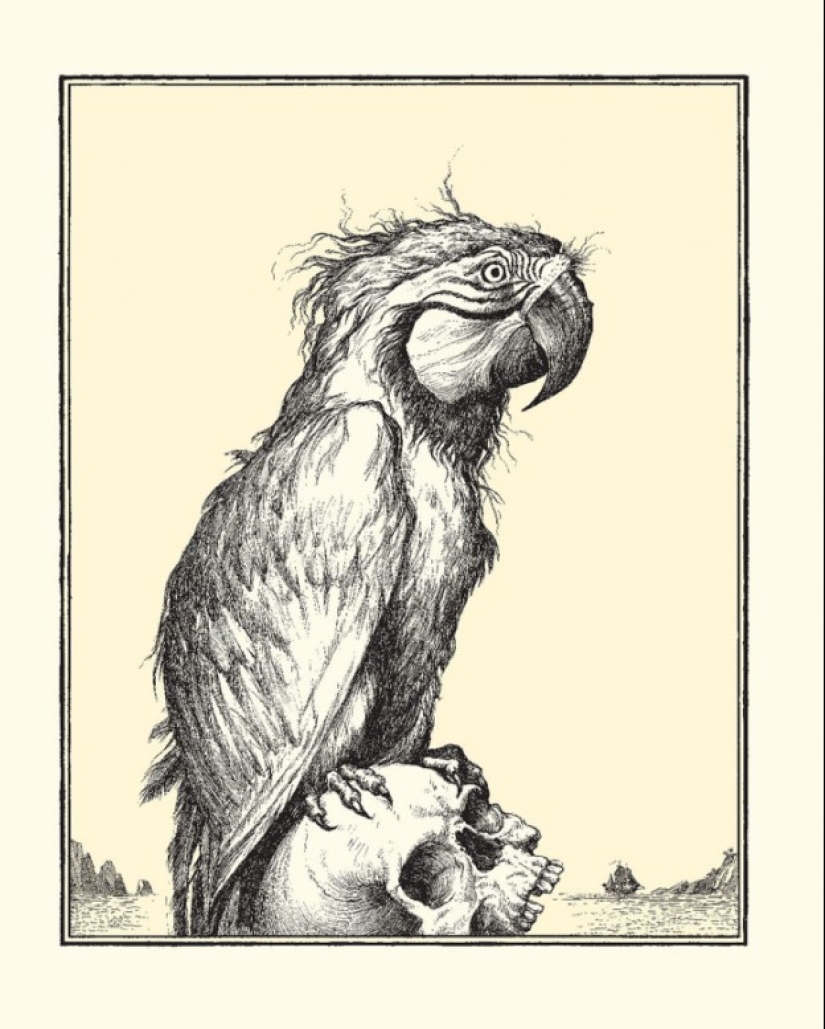 Por qué los piratas se representan con loros Por qué los piratas se representan con loros