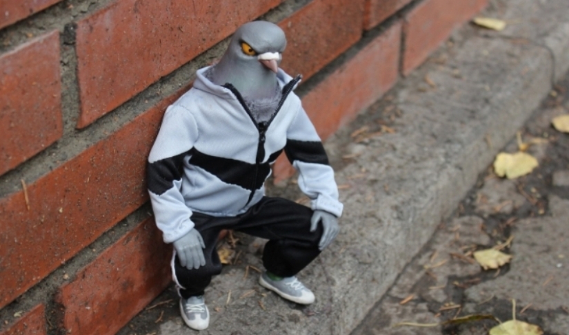 ¿Por qué nunca vemos pichones de paloma?