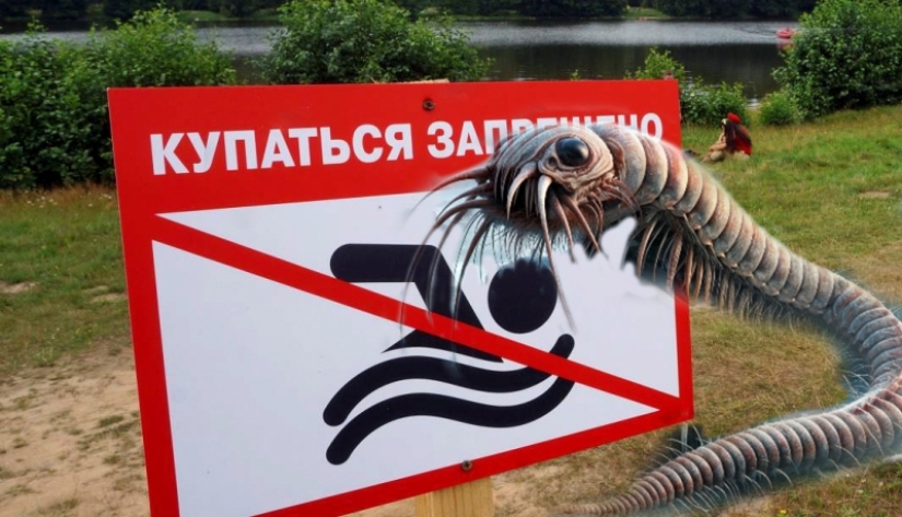 ¿Por qué son peligrosas las cercarias, parásitos del agua de los ríos que penetran la piel? ¿Por qué son peligrosas las cercarias, parásitos del agua de los ríos que penetran la piel?