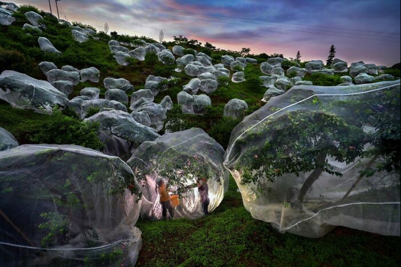 Premios de Fotografía de Estambul 2025: Imágenes impactantes que marcaron el año Premios de Fotografía de Estambul 2025: Imágenes impactantes que marcaron el año