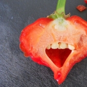 Products that will put you in a stupor just by their appearance