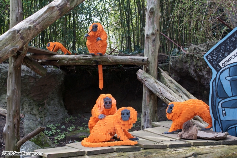 Profession lego-master — how to make money playing Profession lego-master — how to make money playing