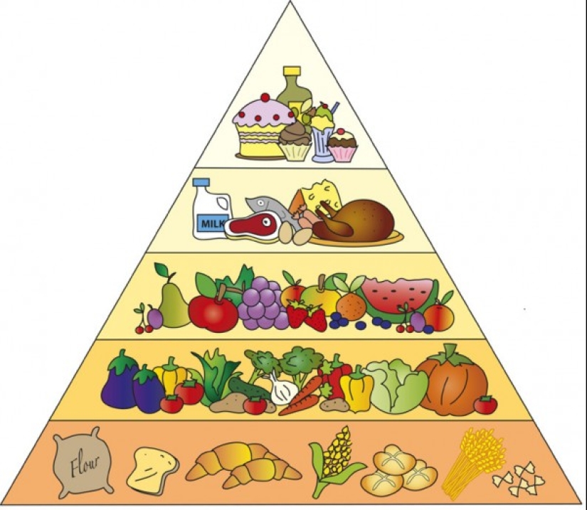 Proper nutrition for a penny: can a healthy diet be cheap Proper nutrition for a penny: can a healthy diet be cheap