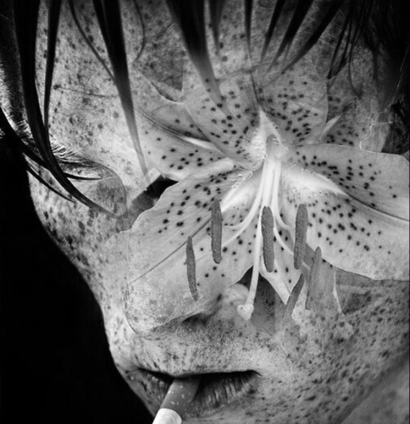 Provocative collages by Spanish artist Naro Pinosa