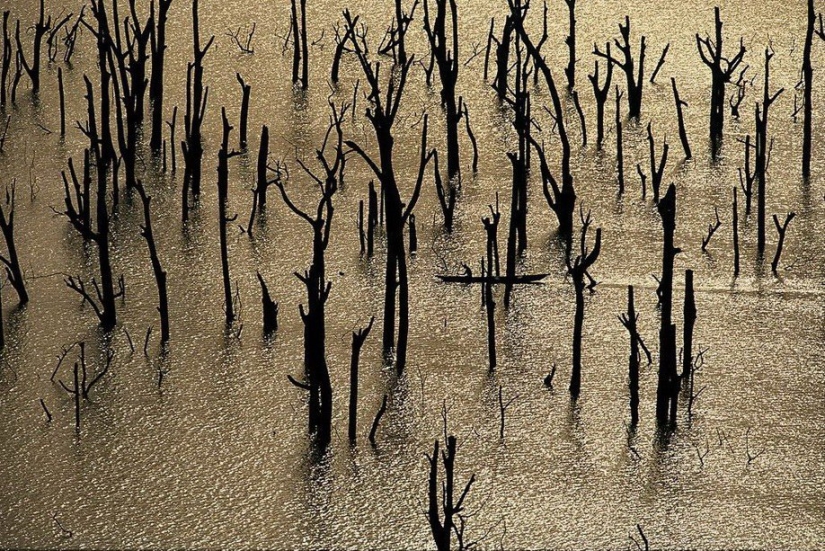 Proyecto fotográfico legendario “La Tierra vista desde el cielo”