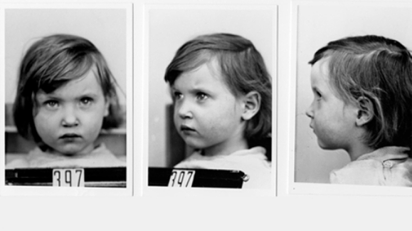 "Purificación" de la sangre: el proyecto secreto de los nazis para hacer crecer superdetes "Purificación" de la sangre: el proyecto secreto de los nazis para hacer crecer superdetes