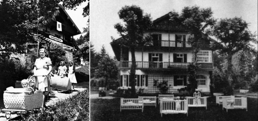 "Purificación" de la sangre: el proyecto secreto de los nazis para hacer crecer superdetes "Purificación" de la sangre: el proyecto secreto de los nazis para hacer crecer superdetes