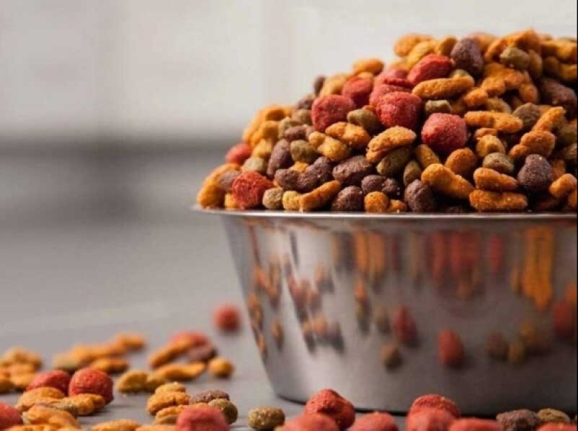 Quadrobing: por qué nuestros niños se vuelven salvajes Quadrobing: por qué nuestros niños se vuelven salvajes