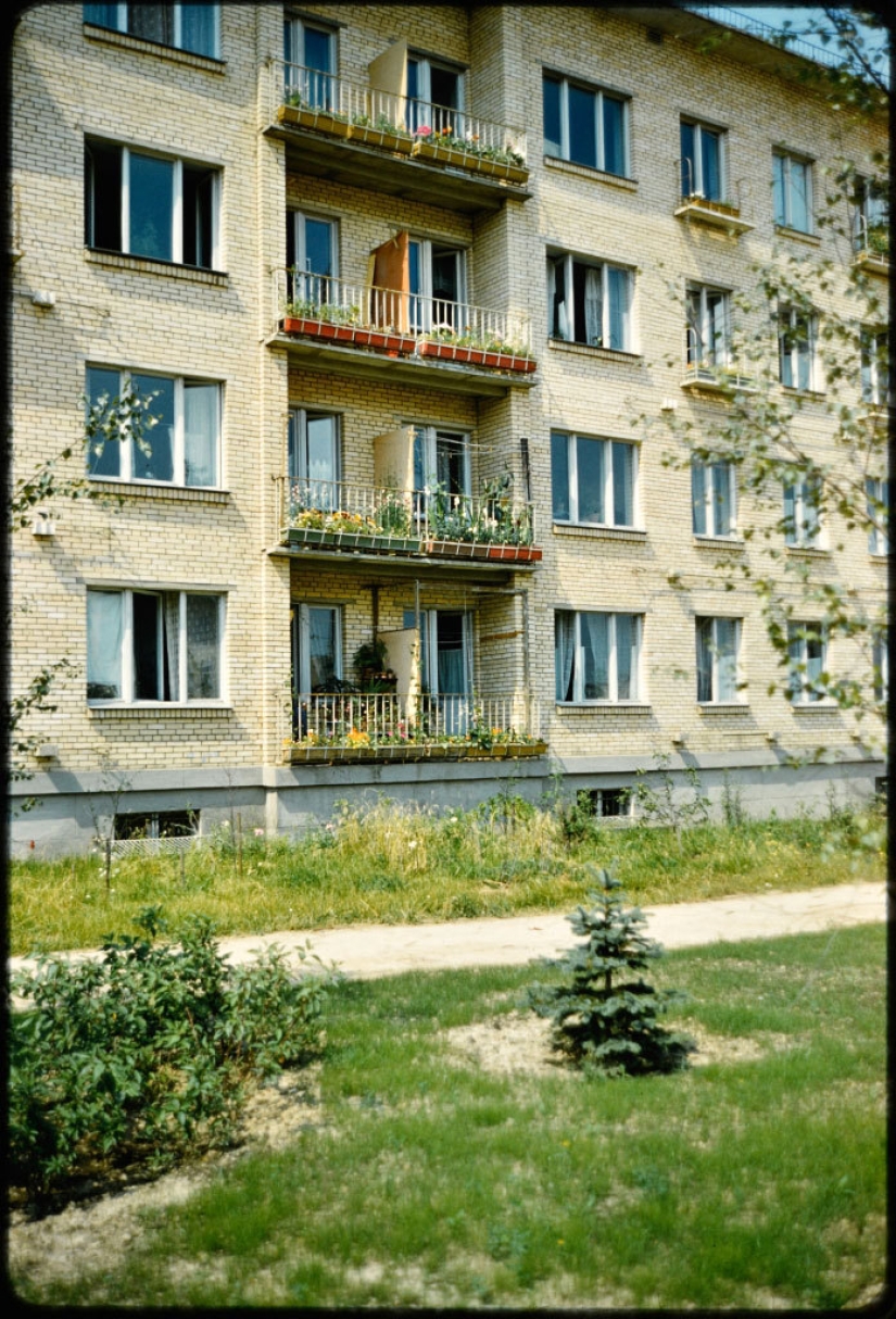 ¿Qué aspecto tenían los Khrushchevki cuando era bueno vivir en ellos