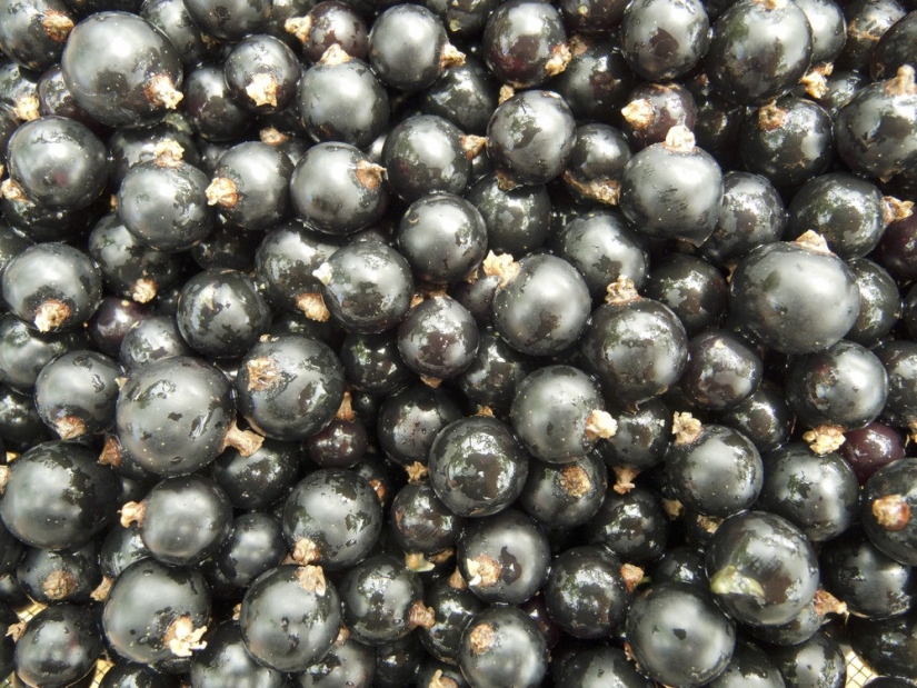 Qué comer en el calor: 10 productos para el verano Qué comer en el calor: 10 productos para el verano