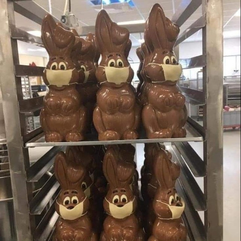 ¿Qué diablos es eso?! 20 fotos que representan cosas realmente extrañas ¿Qué diablos es eso?! 20 fotos que representan cosas realmente extrañas