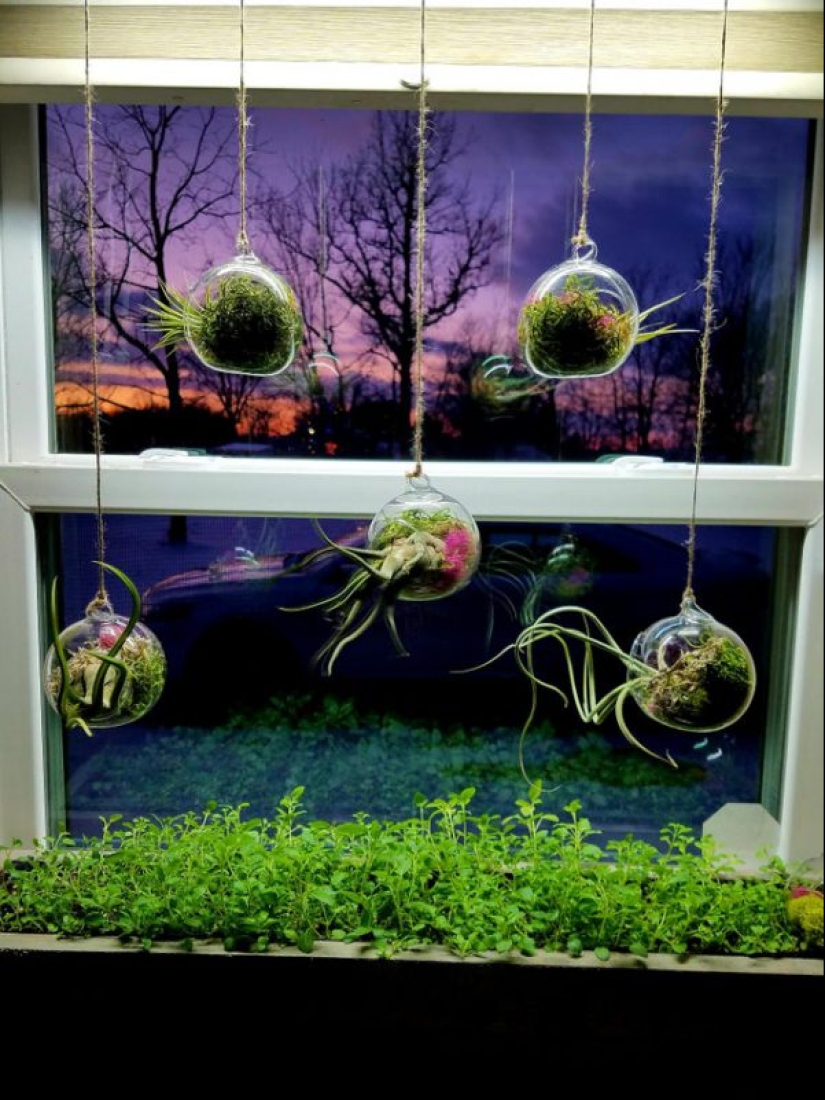 ¿Qué diablos es eso?! 20 fotos que representan cosas realmente extrañas ¿Qué diablos es eso?! 20 fotos que representan cosas realmente extrañas