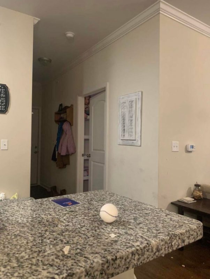 ¿Qué diablos es eso?! 20 fotos que representan cosas realmente extrañas ¿Qué diablos es eso?! 20 fotos que representan cosas realmente extrañas