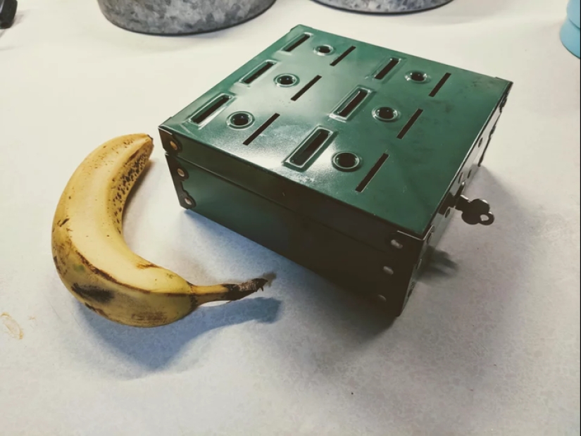 "¿ Qué es esta cosa?": 20 + cosas extrañas que han engañado a los usuarios de Internet "¿ Qué es esta cosa?": 20 + cosas extrañas que han engañado a los usuarios de Internet