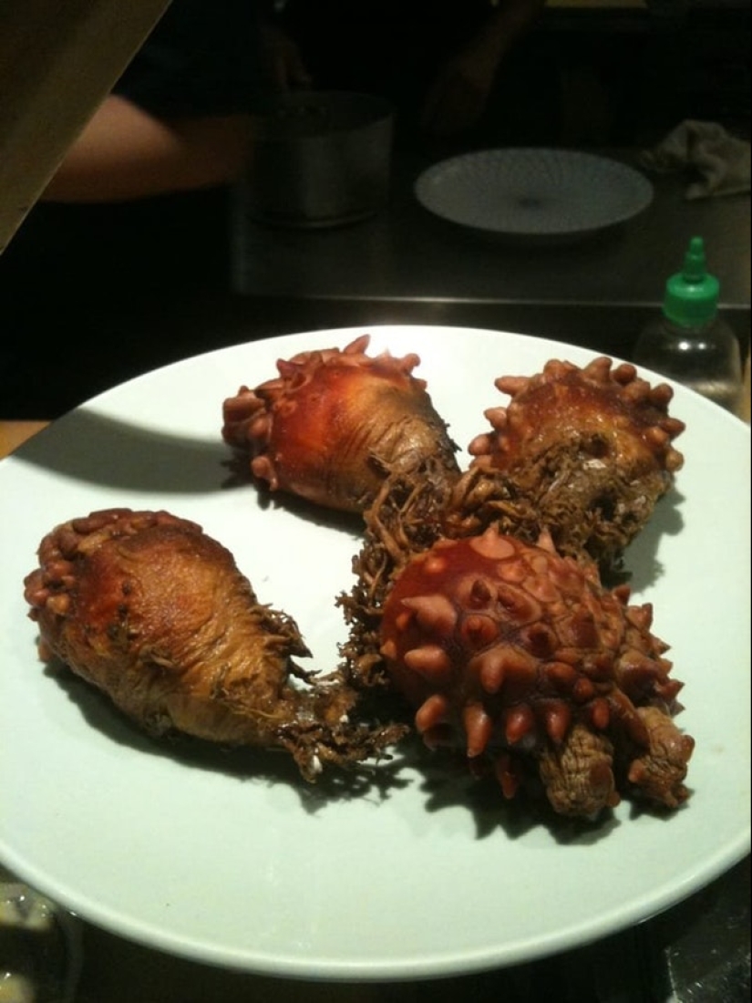 "¿ Qué es esta cosa?": 20 + cosas extrañas que han engañado a los usuarios de Internet "¿ Qué es esta cosa?": 20 + cosas extrañas que han engañado a los usuarios de Internet