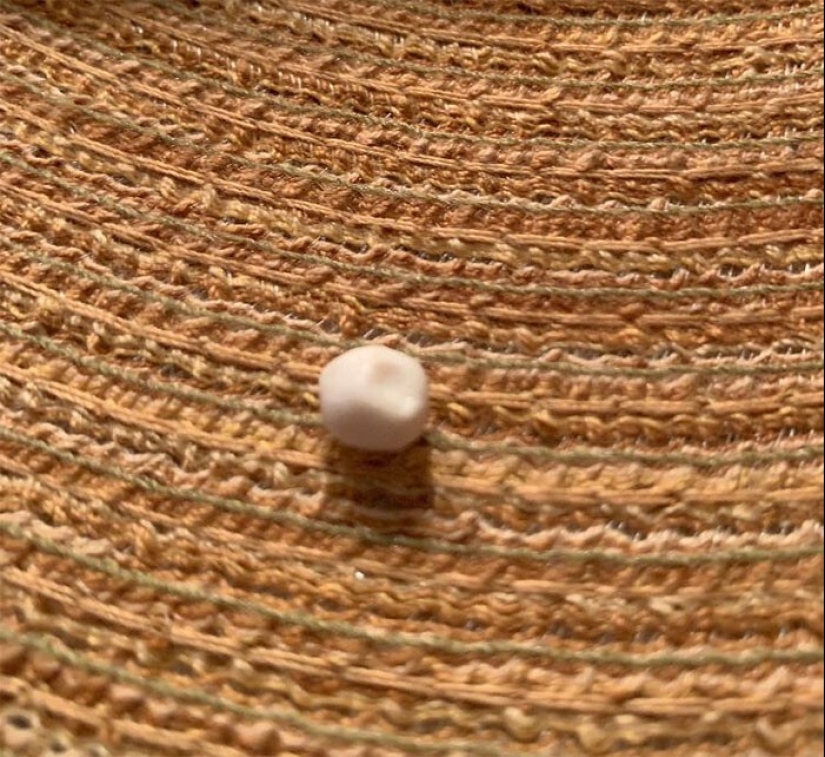 ¿Qué es esta cosa? 40 objetos misteriosos y su propósito