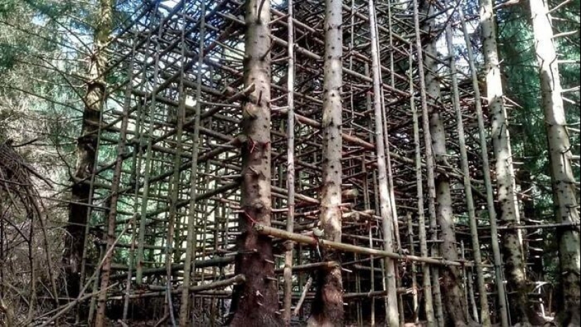 ¿Qué es esta cosa? 40 objetos misteriosos y su propósito