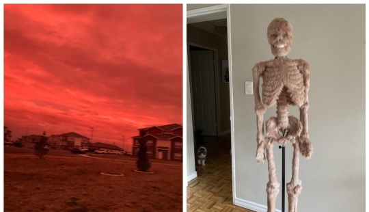 "¿Qué es esto..?": 22 fotos de cosas que causaron mucha confusión a la gente